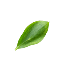 Mask Group 6 png