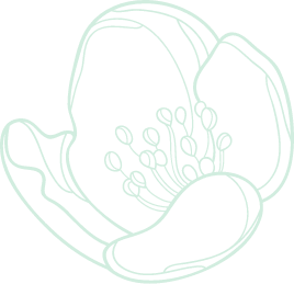 Bg3